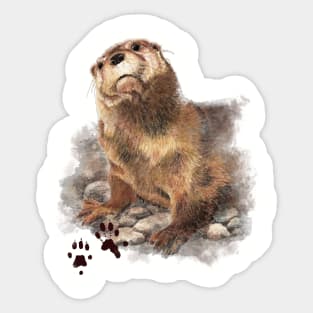 Cute Watercolor Otter Animal Art Sticker